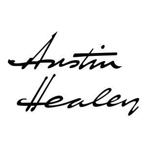 Austin Healer