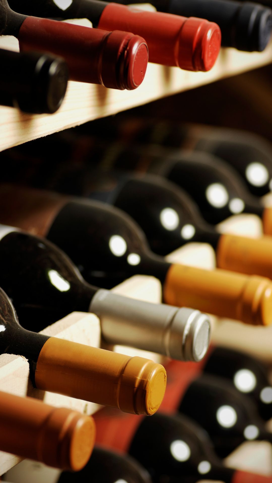 Plusieurs bouteilles de vin sont alignées sur une étagère