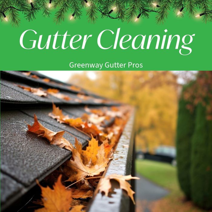 Gutter Cleaning