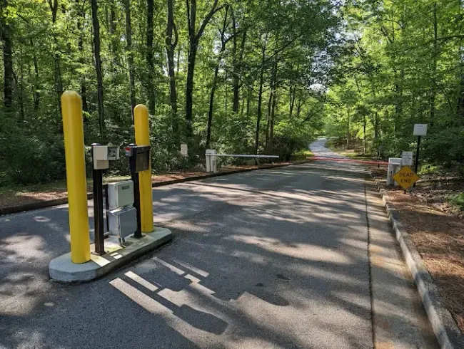 A parking meter is sitting on the side of a road in the middle of a forest.