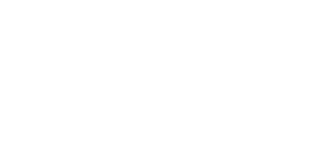 Reunion Island Logo