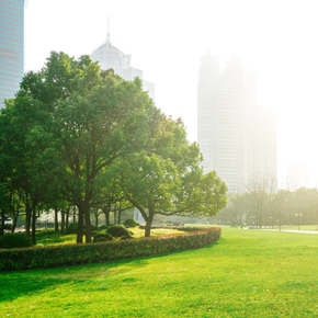 illustrating green finance