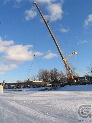 Une grande grue se trouve au milieu d'un champ enneigé