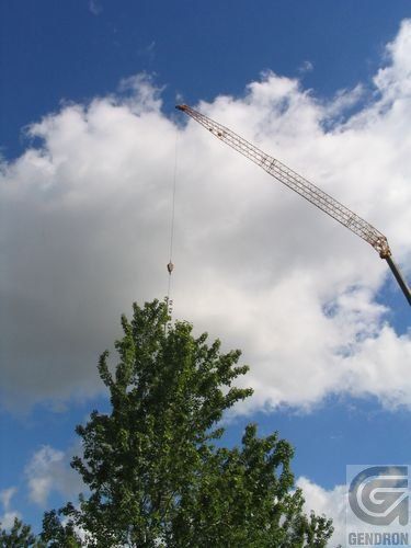 Une grande grue soulève un arbre dans le ciel