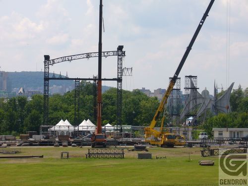 Une grande grue jaune est assise au milieu d'un champ herbeux