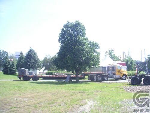 Un semi-remorque jaune est garé dans un champ herbeux