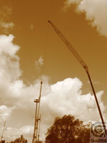 Une photo sépia d'une grue avec le mot dendron en bas à droite