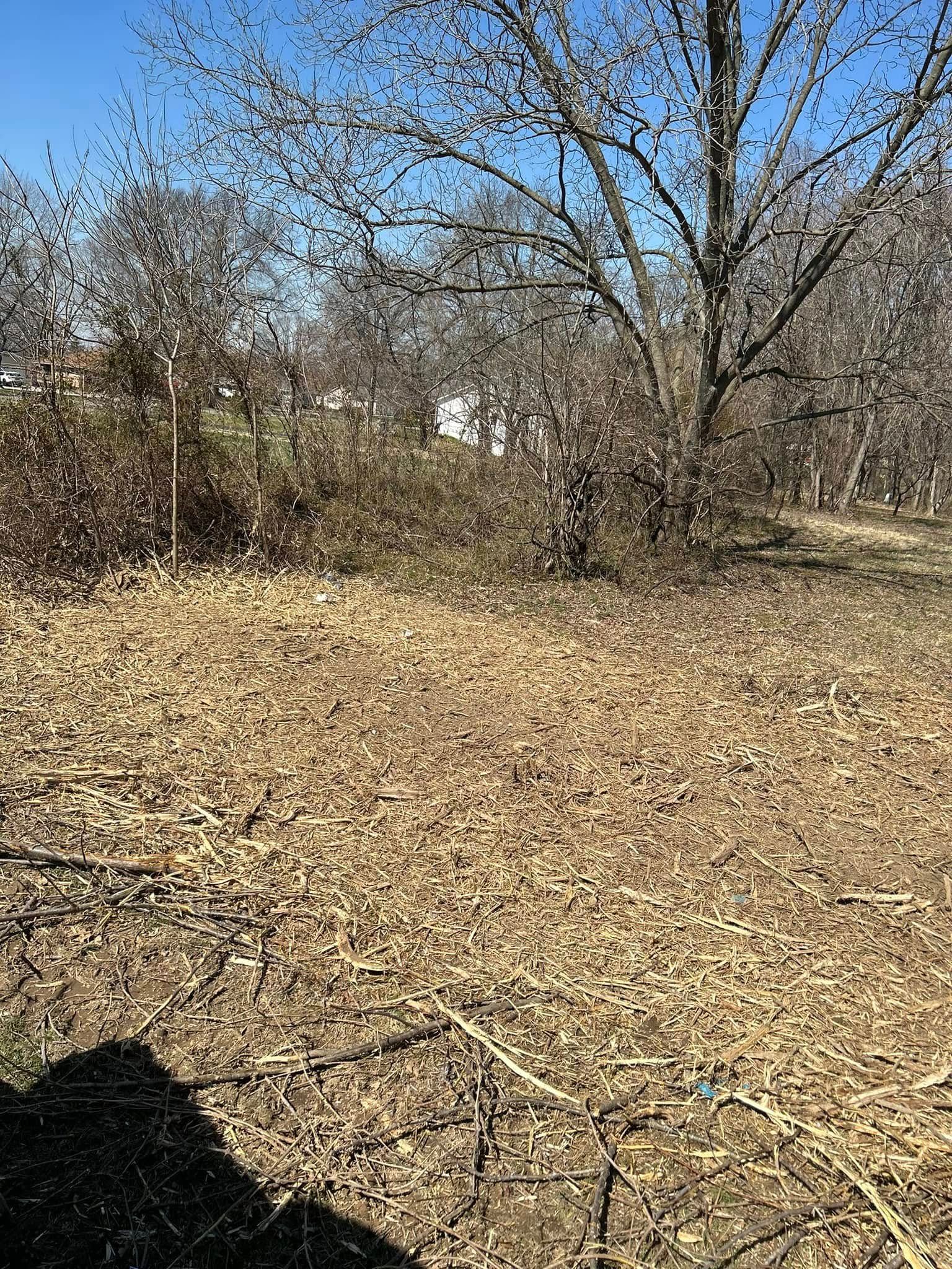 A field of dry grass with trees in the background.