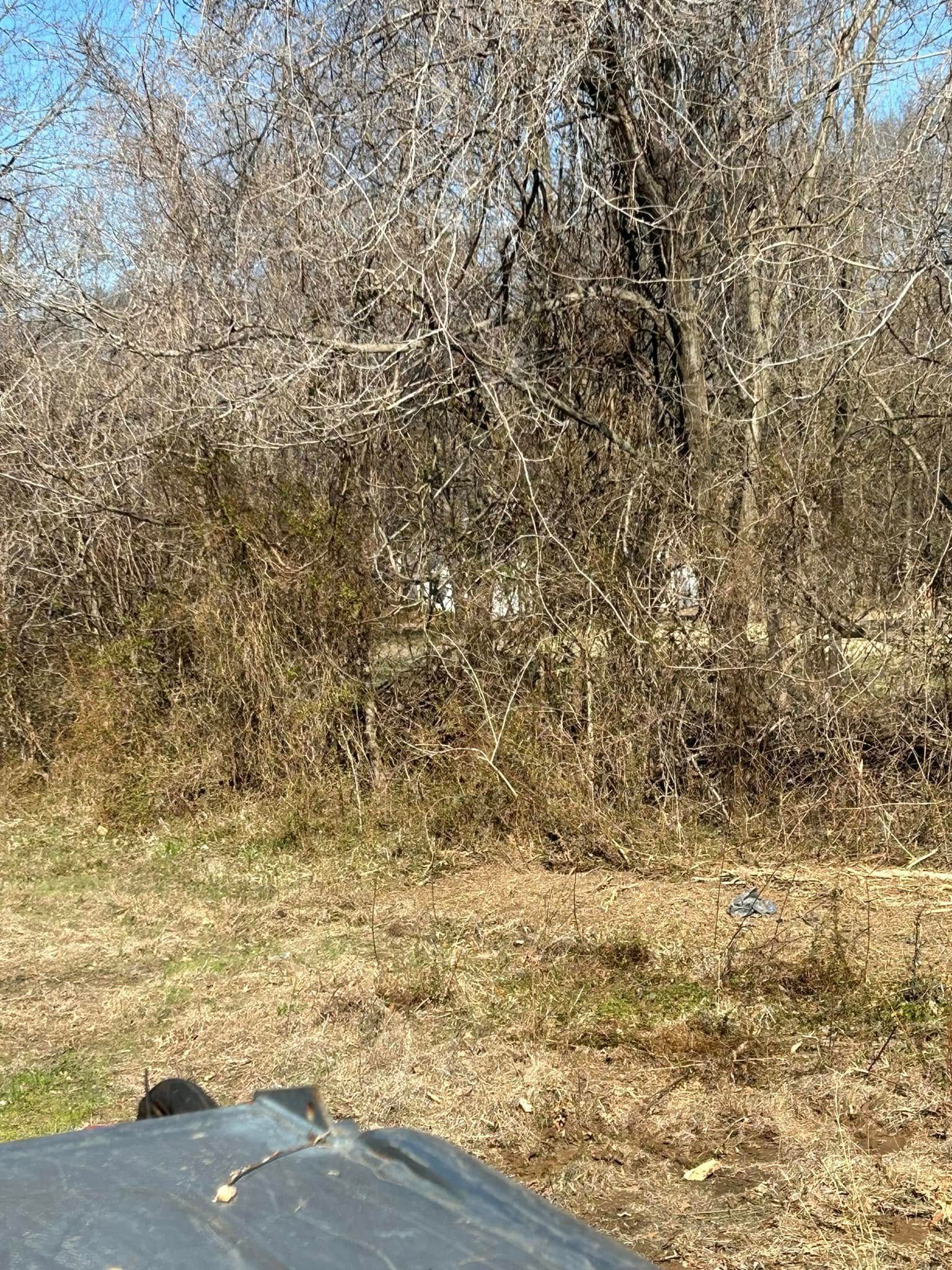 A trash can is sitting in the middle of a field with trees in the background.