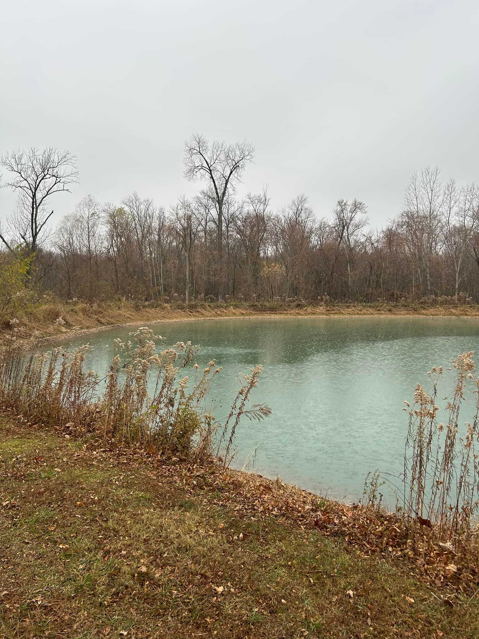 A small pond surrounded by trees on a cloudy day.