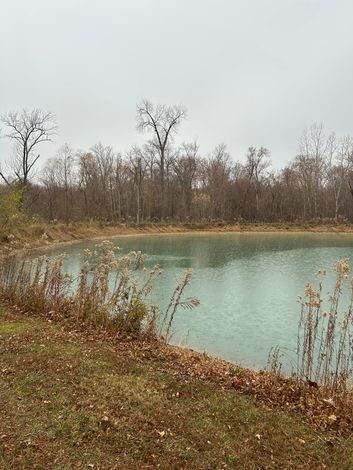 A small pond surrounded by trees on a cloudy day.