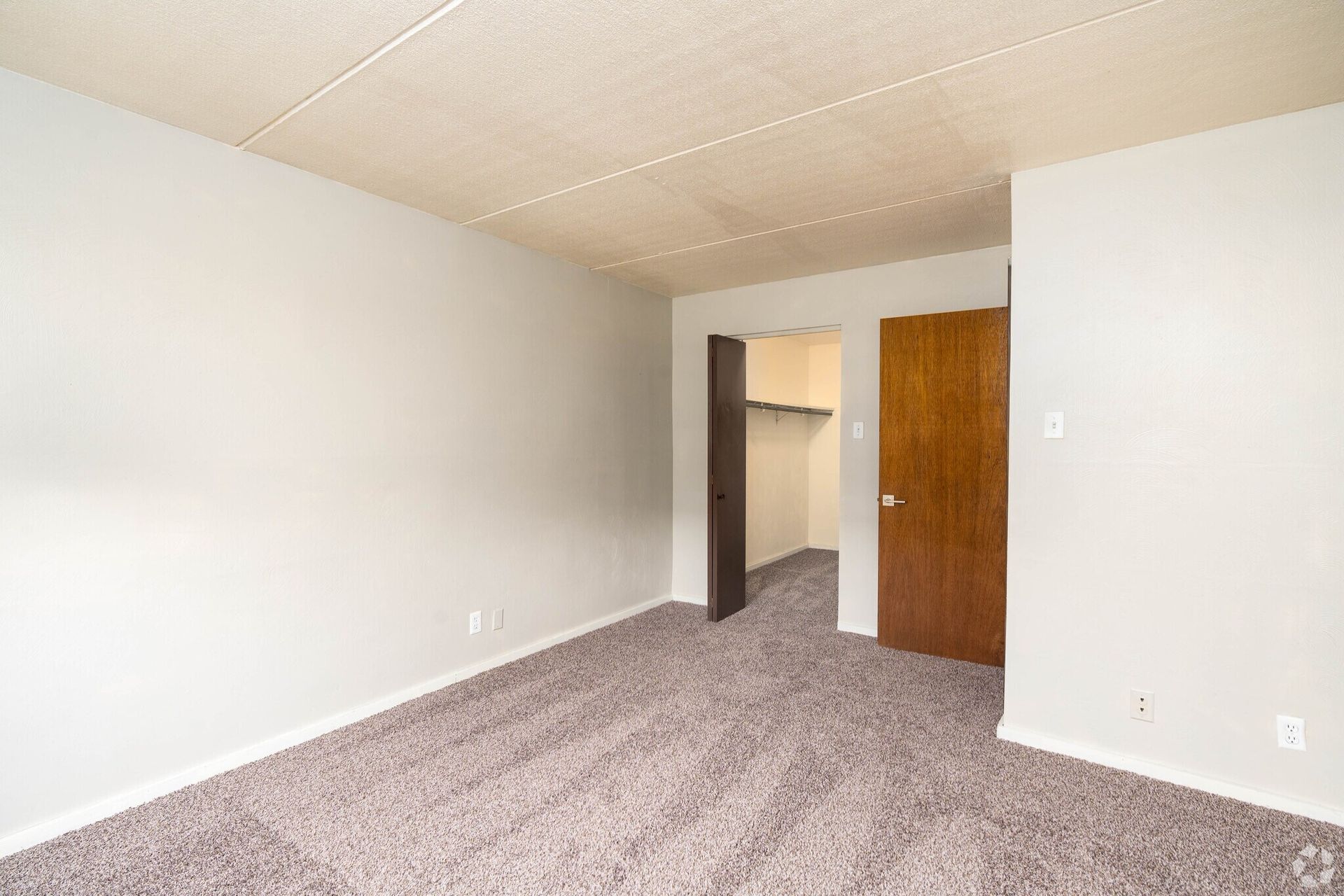 Empty bedroom with light grey walls, brown door, closet, and mauve carpet.
