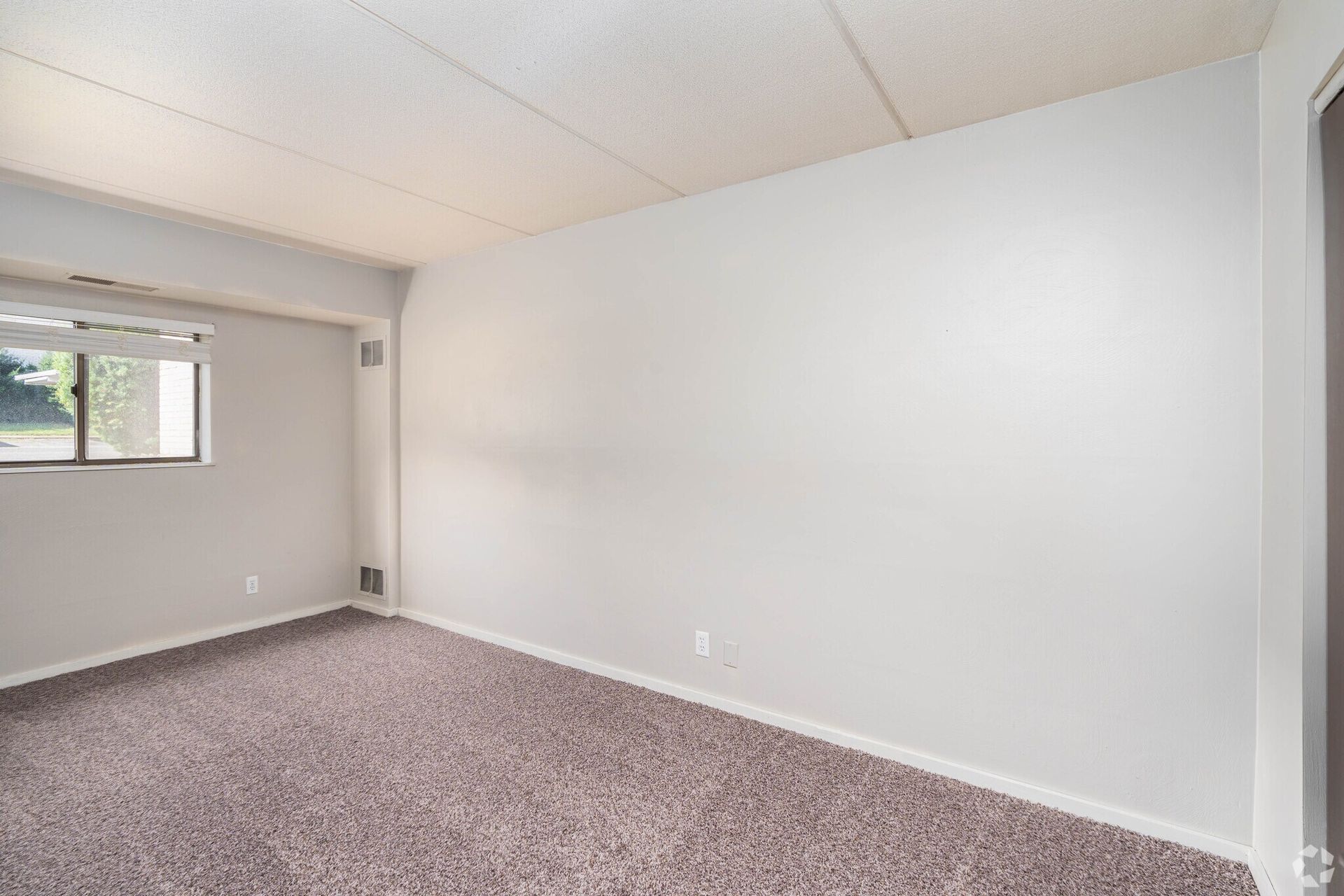 Empty room with mauve carpet, white walls, small window, and textured ceiling.
