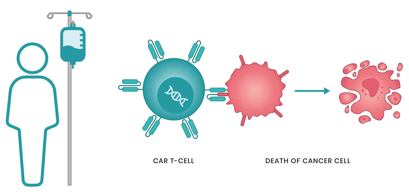 Car t cell. Car t Cells. Car-t терапия. Car-t Therapy. Cell Therapy.