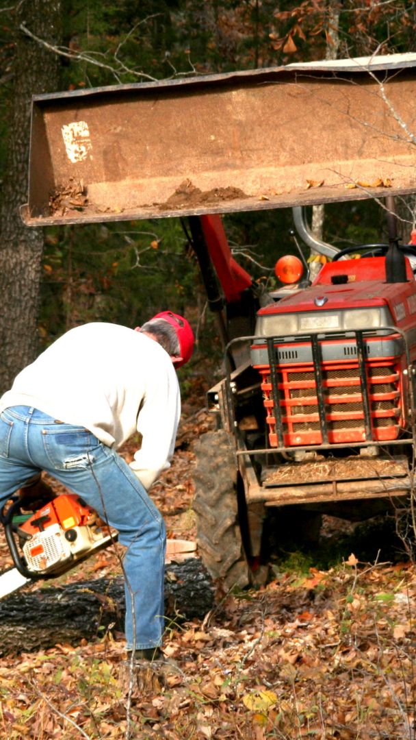 tree-service-shoreline-washington
