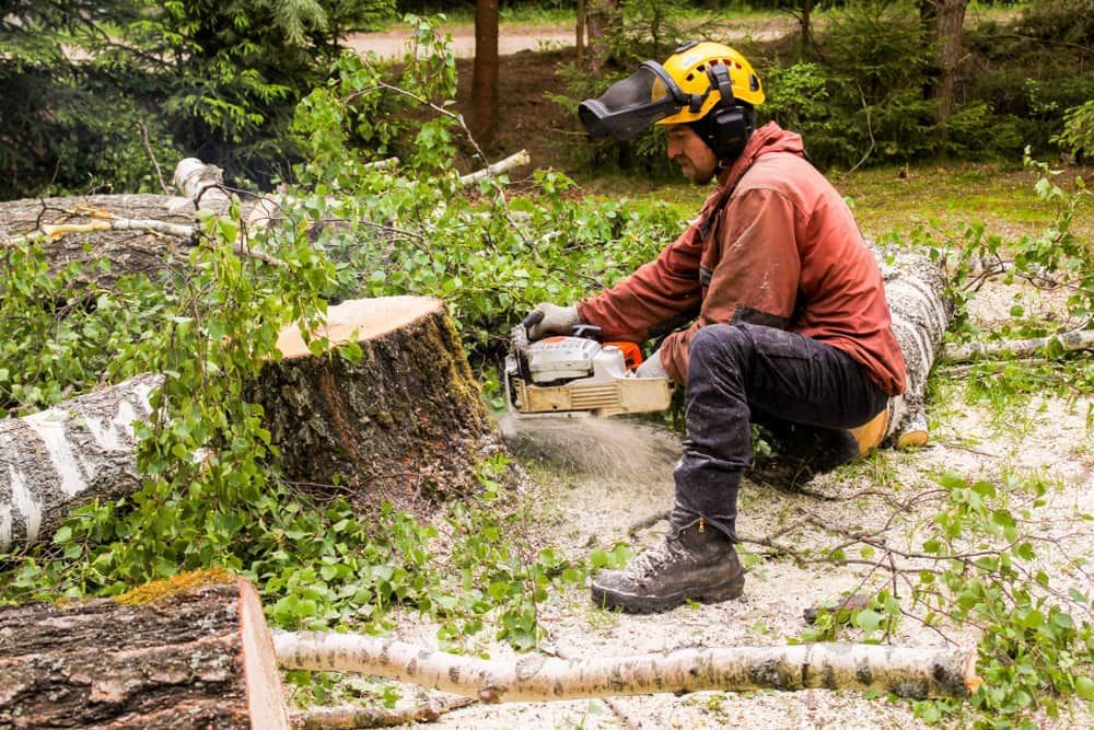 A Man Is Cutting A Tree Stump With A Chainsaw — D & M Tree Services In Taree, NSW