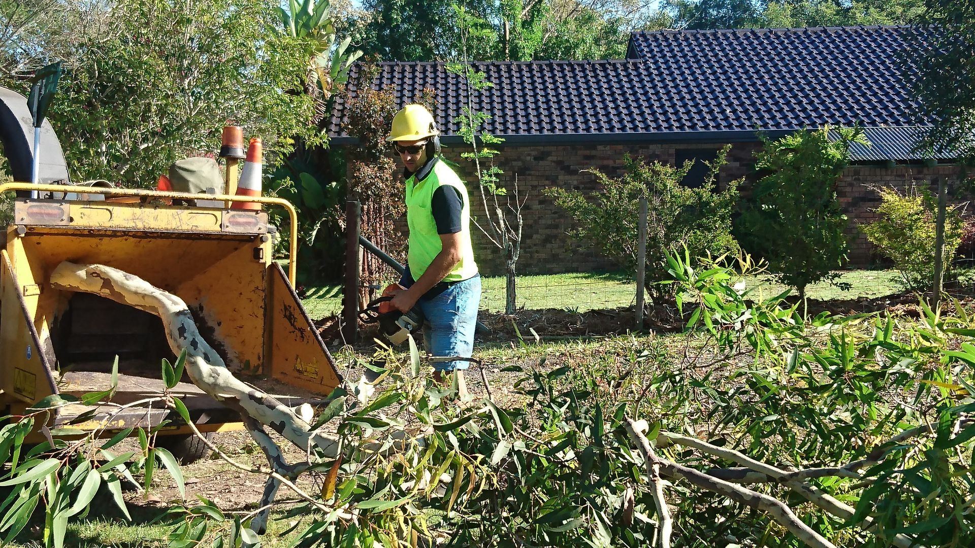 A Man Is Cutting Trees With A Machine In A Yard — D & M Tree Services In Taree, NSW