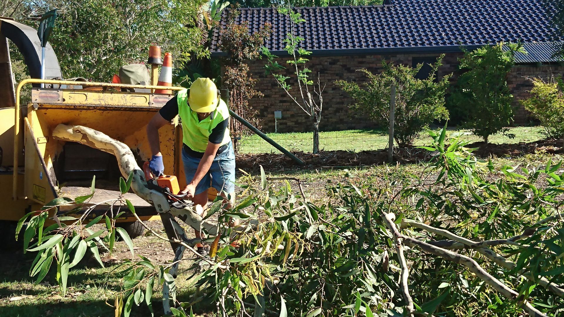 A Man Is Cutting A Tree Branch With A Chainsaw — D & M Tree Services In Taree, NSW