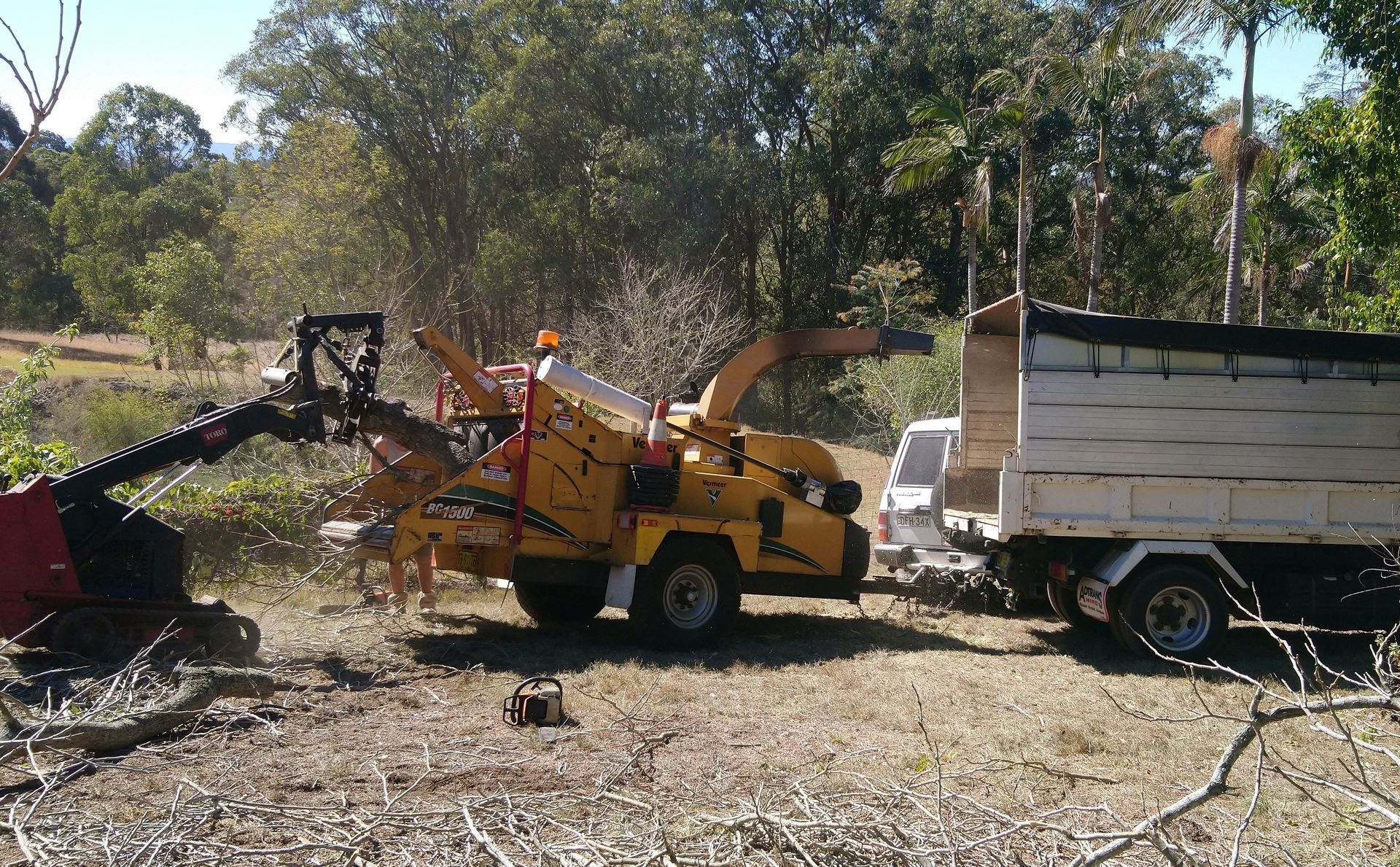 A Tree Chipper Is Being Used To Cut Down Trees — D & M Tree Services In Taree, NSW
