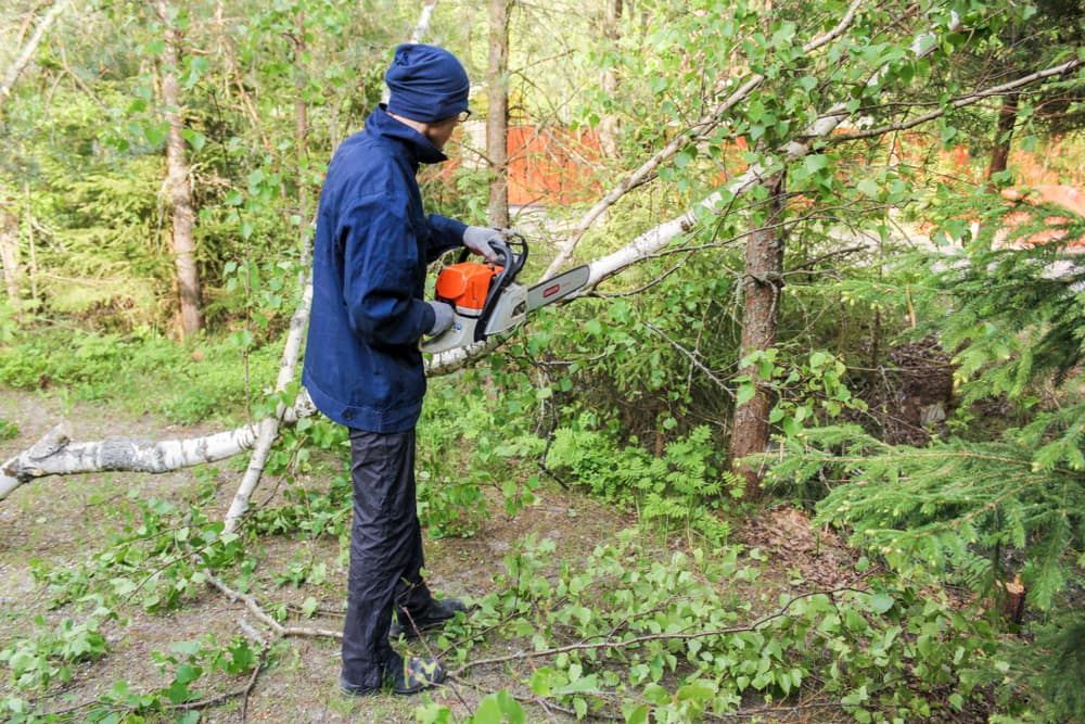 A Man Is Cutting A Tree With A Chainsaw In The Woods — D & M Tree Services In Taree, NSW