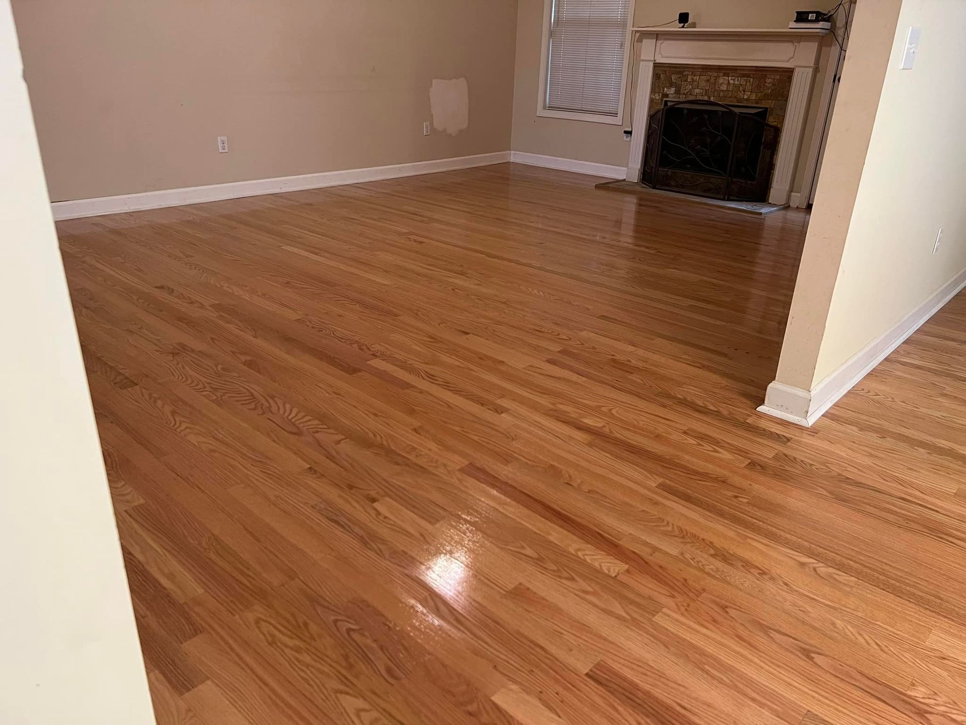 A living room with hardwood floors and a fireplace.