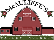 McAuliffe's Valley Nursery