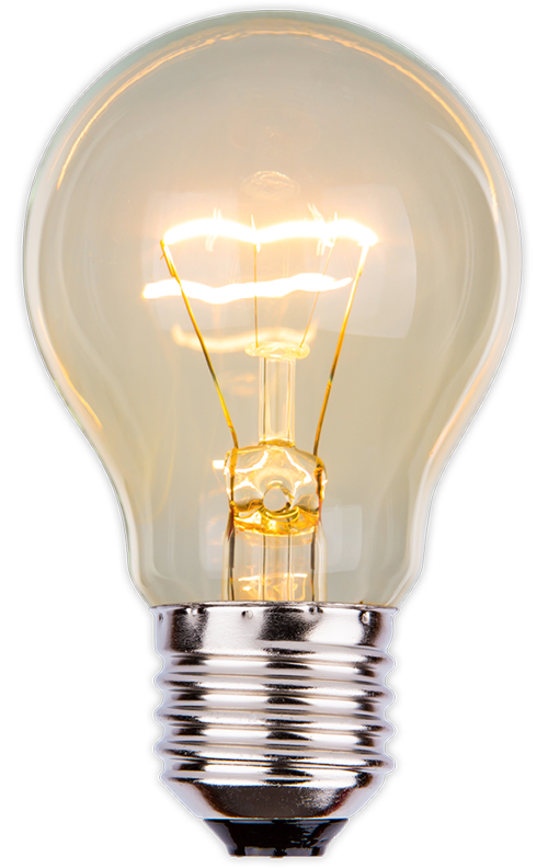 Bulb