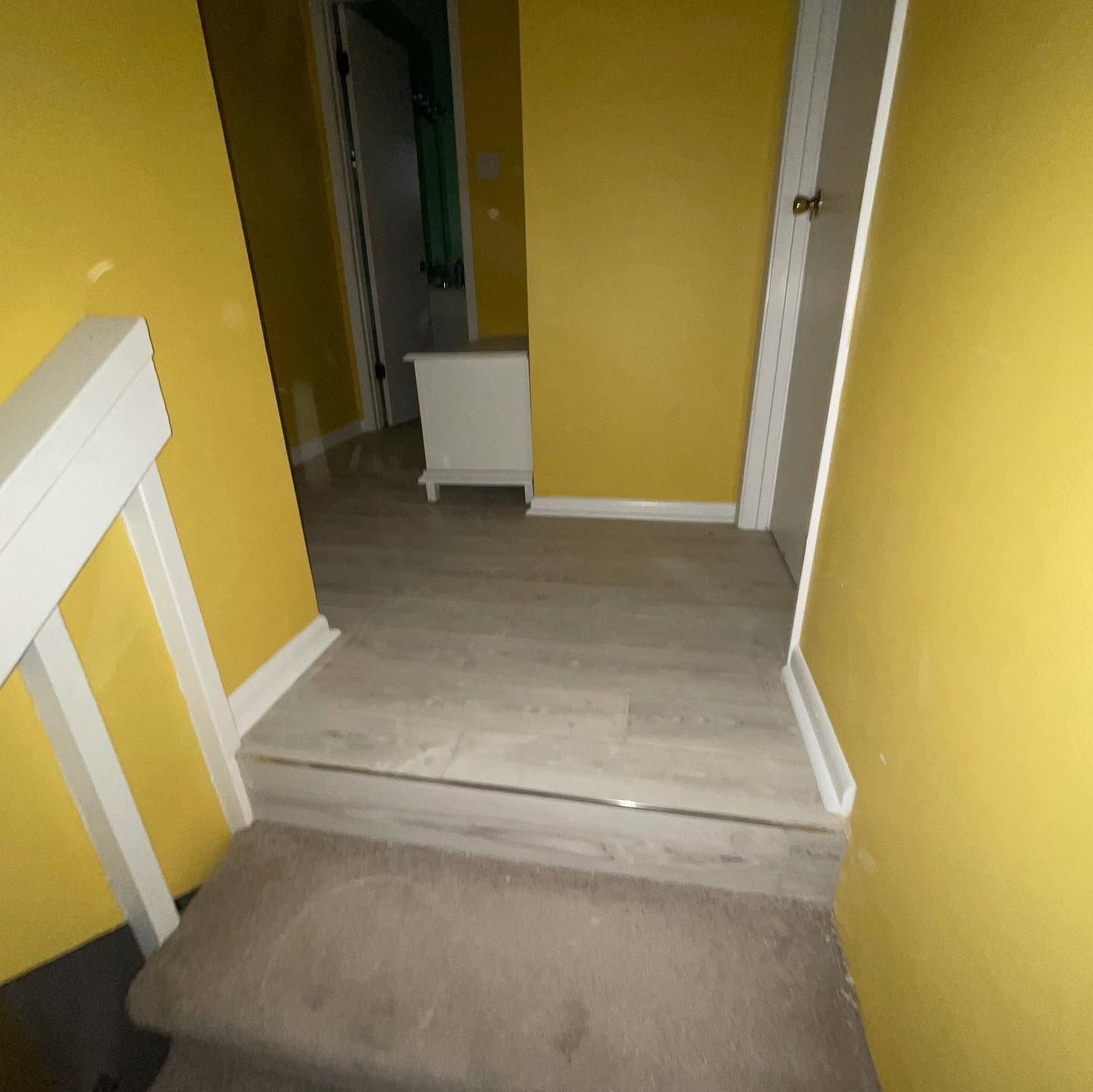Yellow hallway with a small step up to wood-look flooring. A door and cabinet are visible.