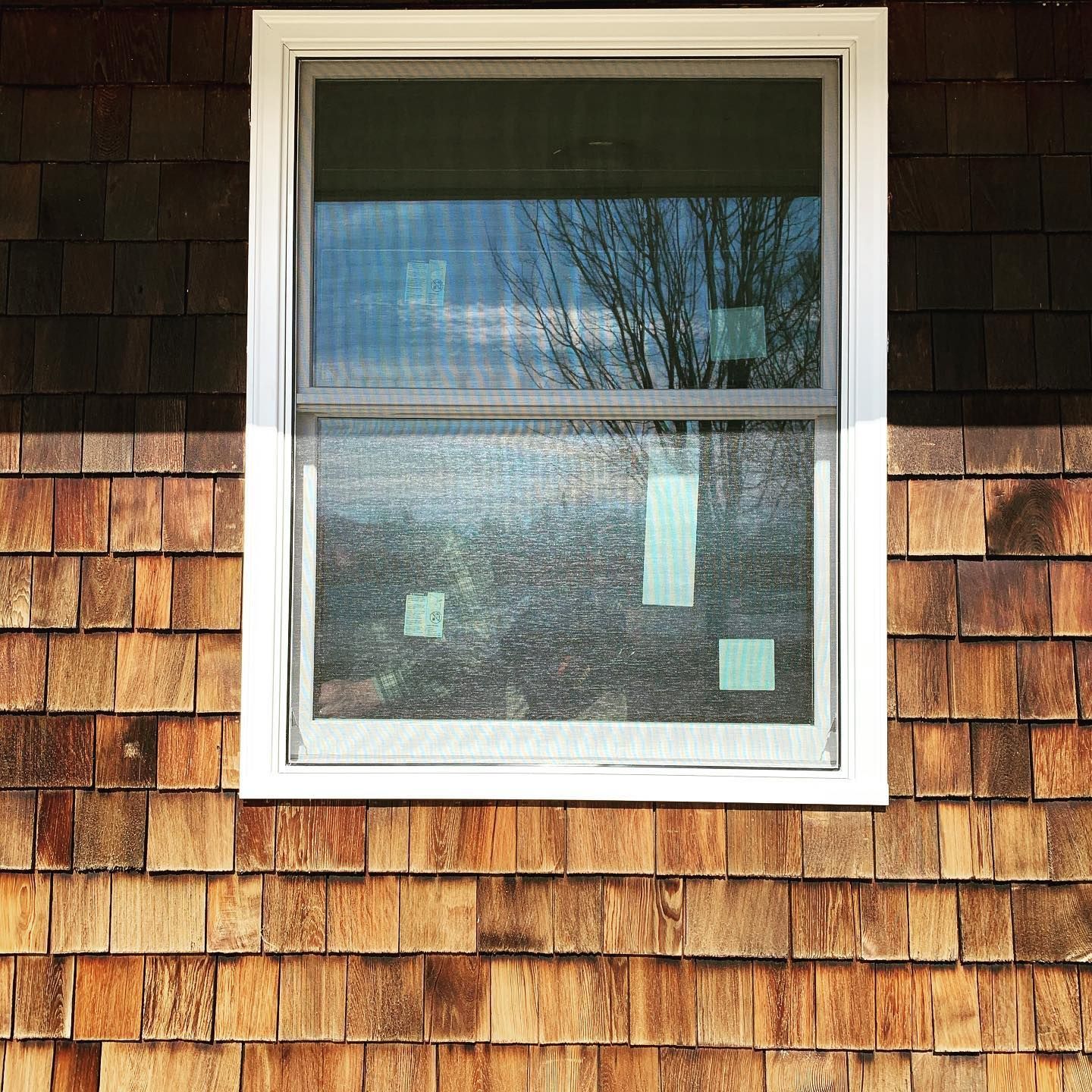 Window with a white frame on a wood-shingled wall. Reflections of trees and sky are visible.