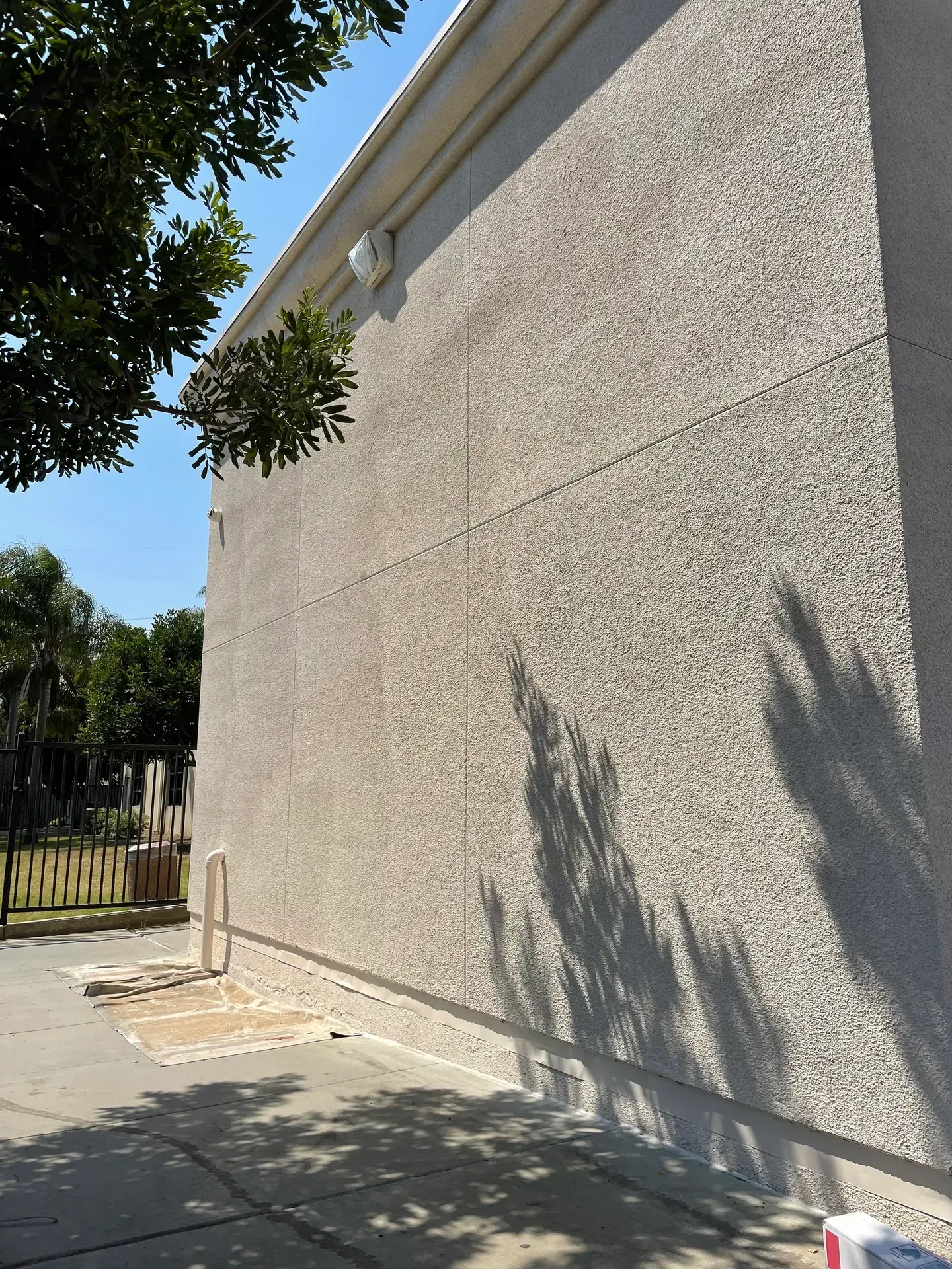 A tree shadow is cast on the side of a building