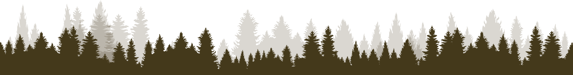 A stylized silhouette of a coniferous forest border in shades of brown and light grey.