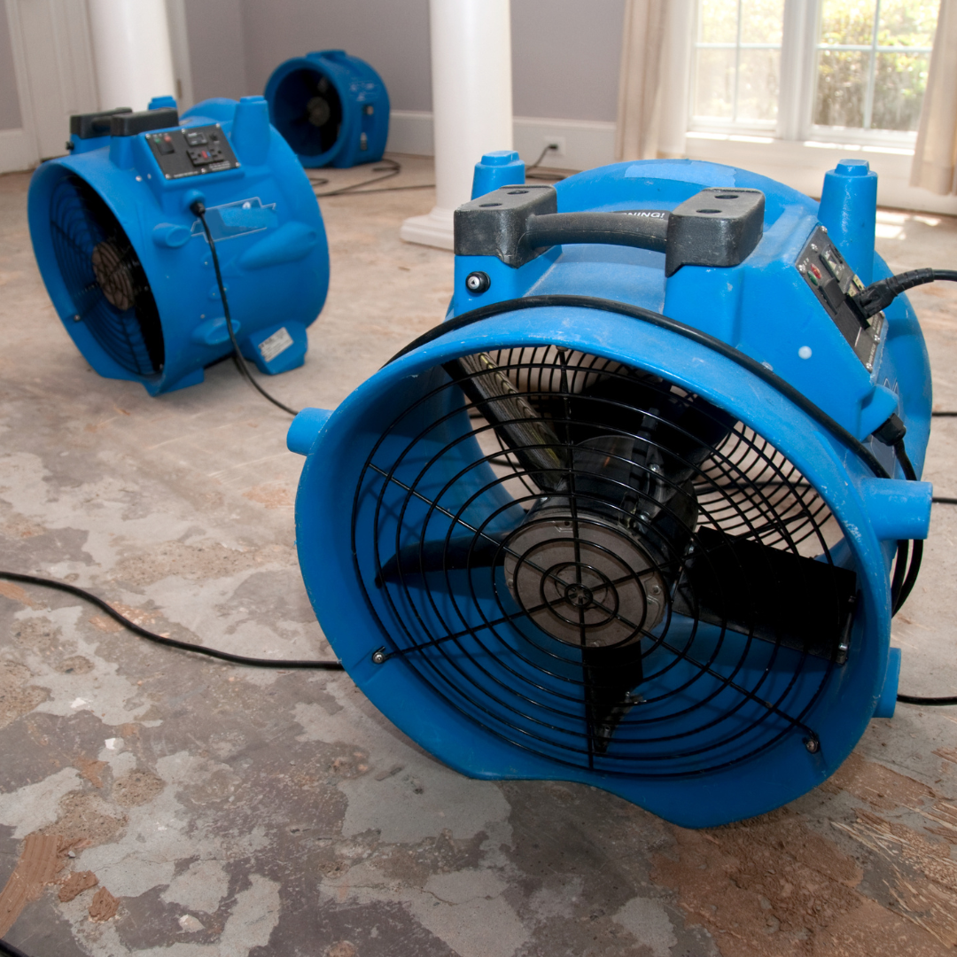 Two blue fans are sitting on the floor in a room.