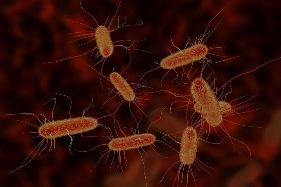 A computer generated image of a group of bacteria.