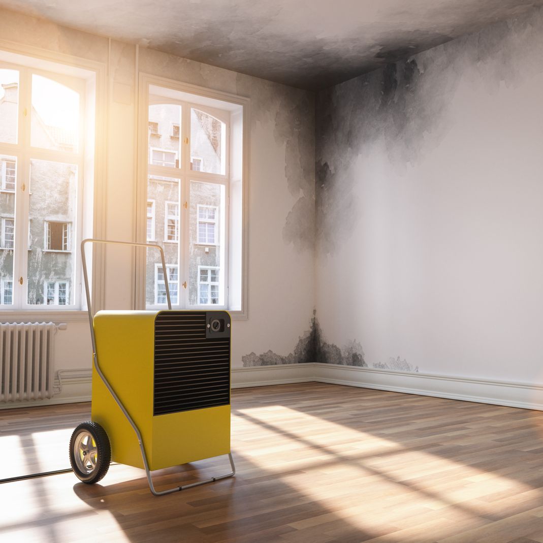 A yellow air conditioner is sitting in an empty room with a moldy wall.