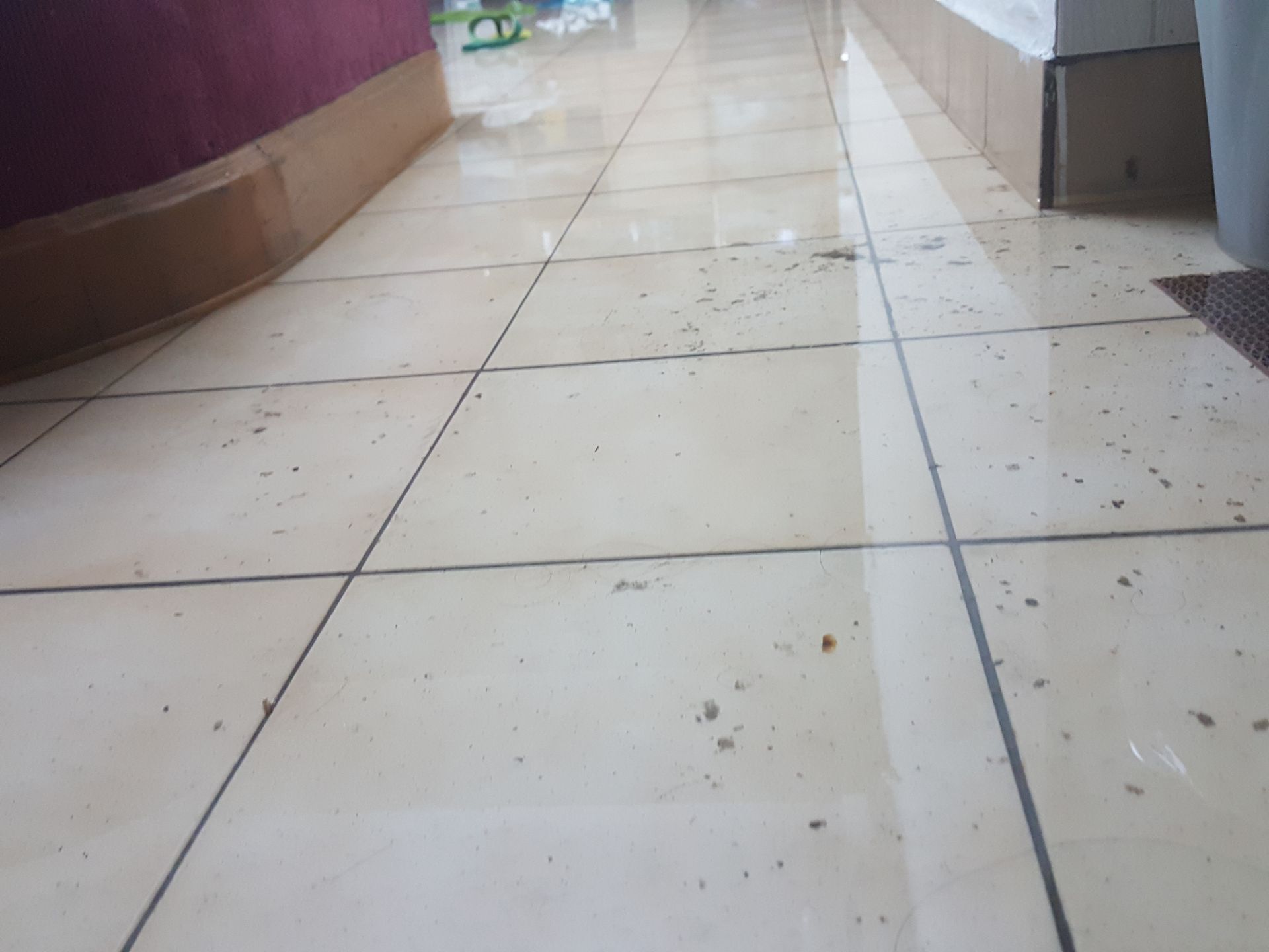 A tiled floor with dirty water covering the surface.