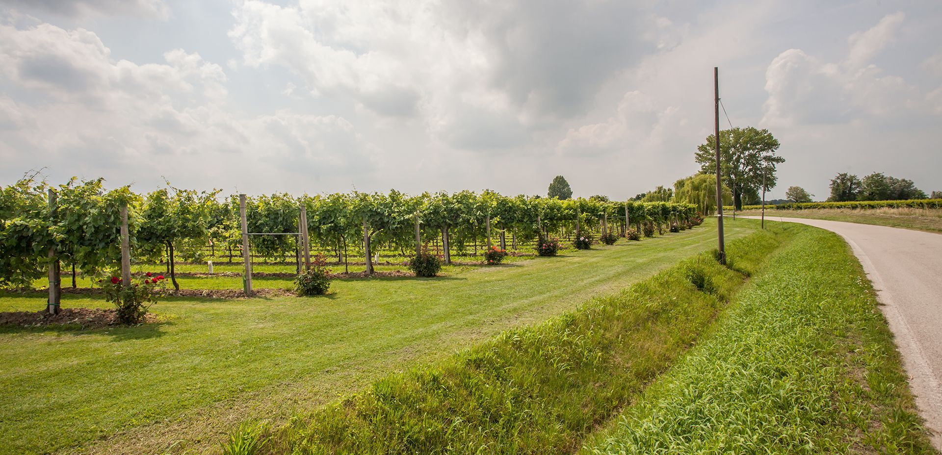Azienda Agricola Giovanni Tonon - esterno