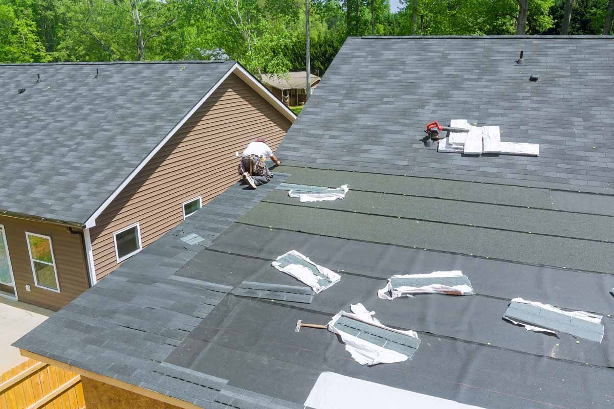 Roofers installing shingles on a house roof beside a brick home and trees