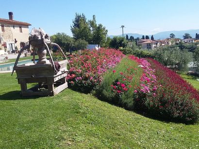 Realizzazione impianti irrigazione giardino a Firenze