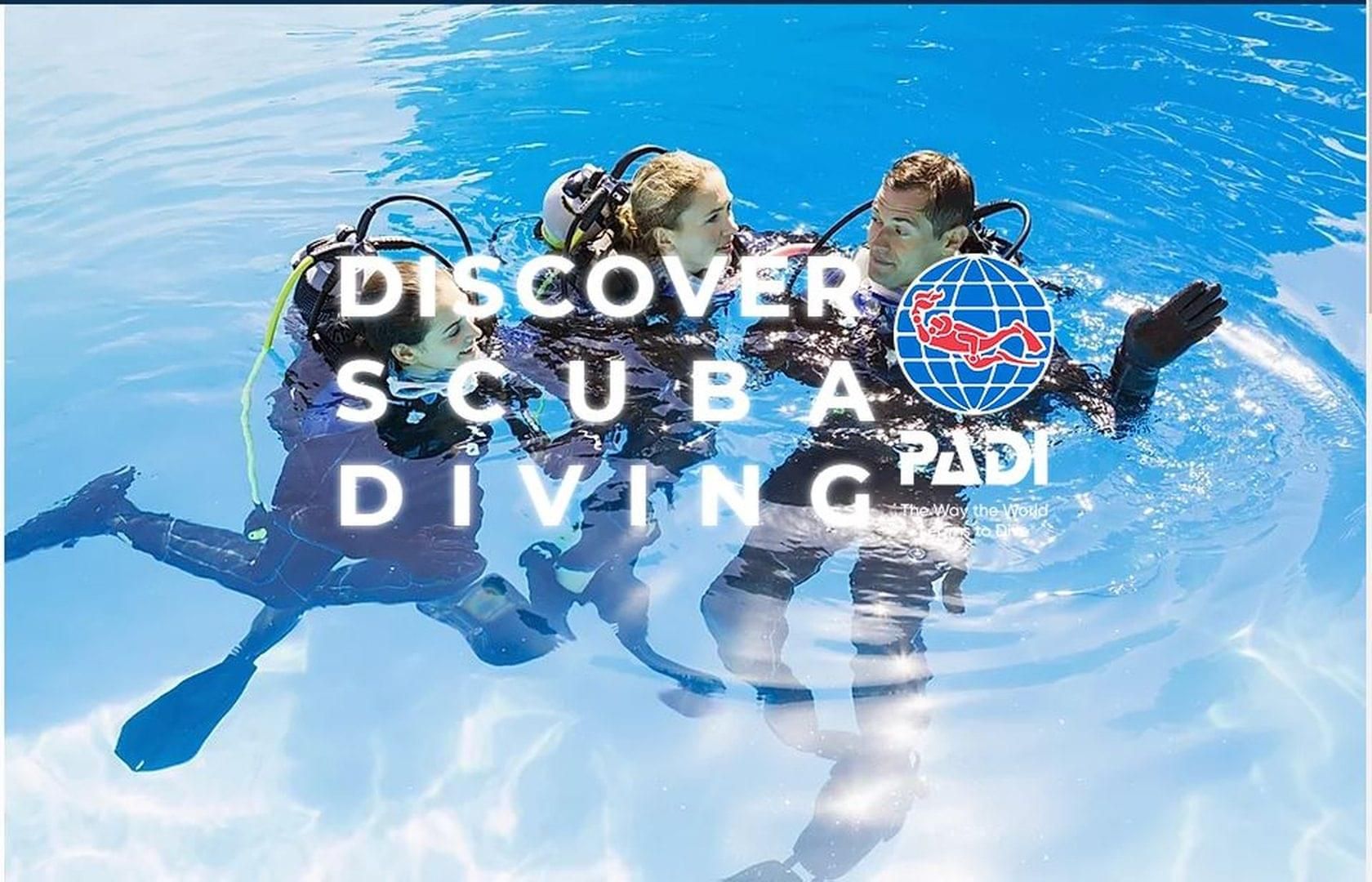 try scuba diving in Madeira
