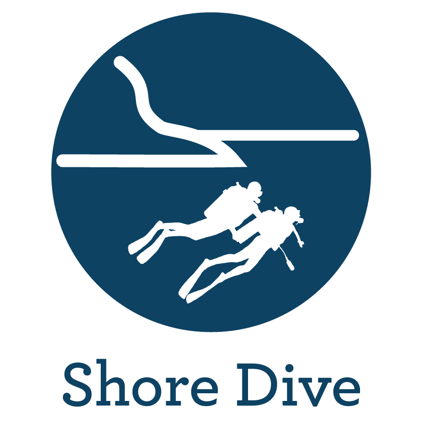 shore dive madeira funchal padi course scuba diving