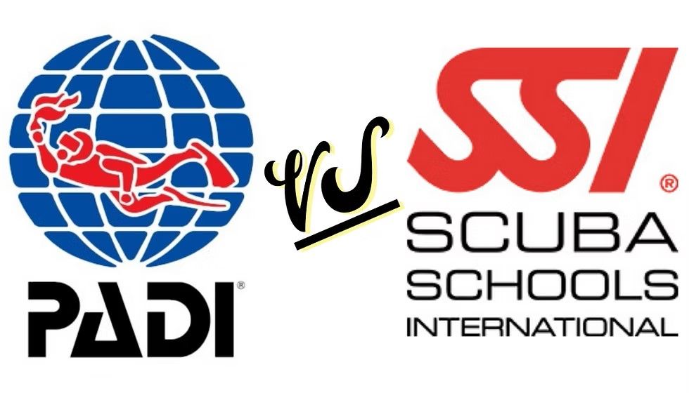 PADI vs SSI, scuba diving certification, PADI Madeira, SSI Madeira, scuba diving courses Madeira, 