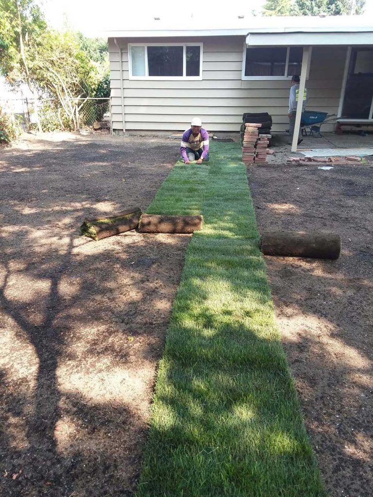 A man is laying a roll of turf in front of a house.