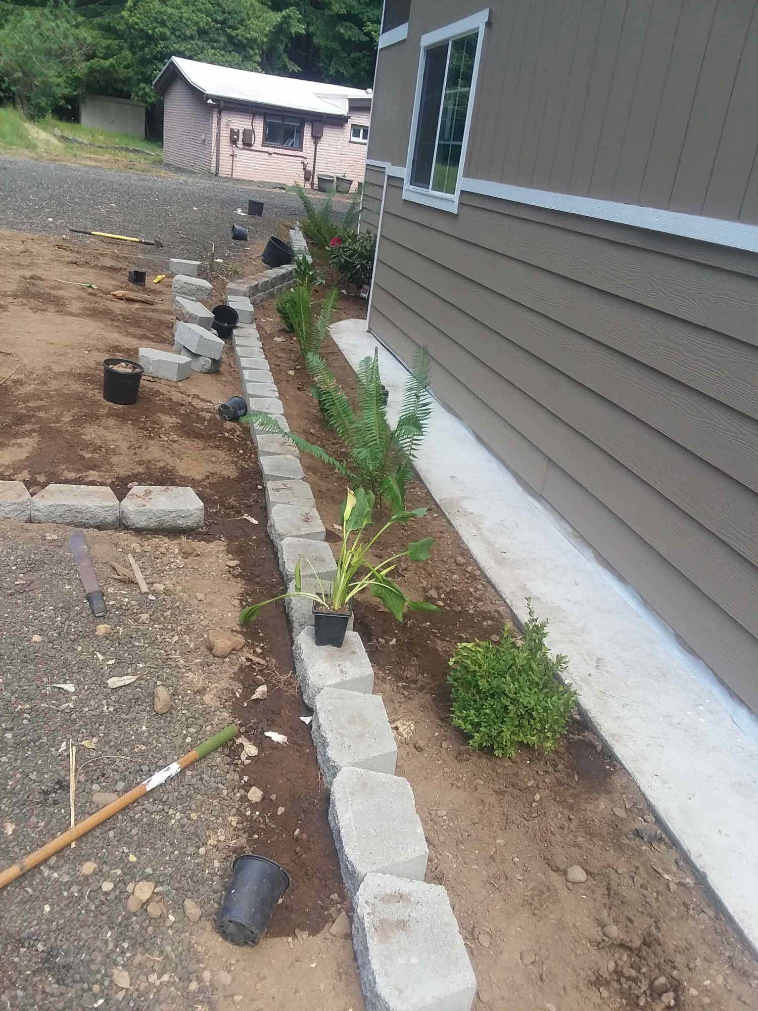 A row of potted plants are being planted in front of a house.