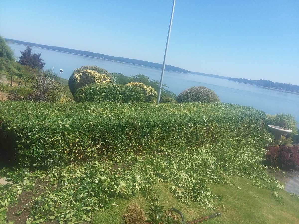 A lush green field with a view of a body of water.