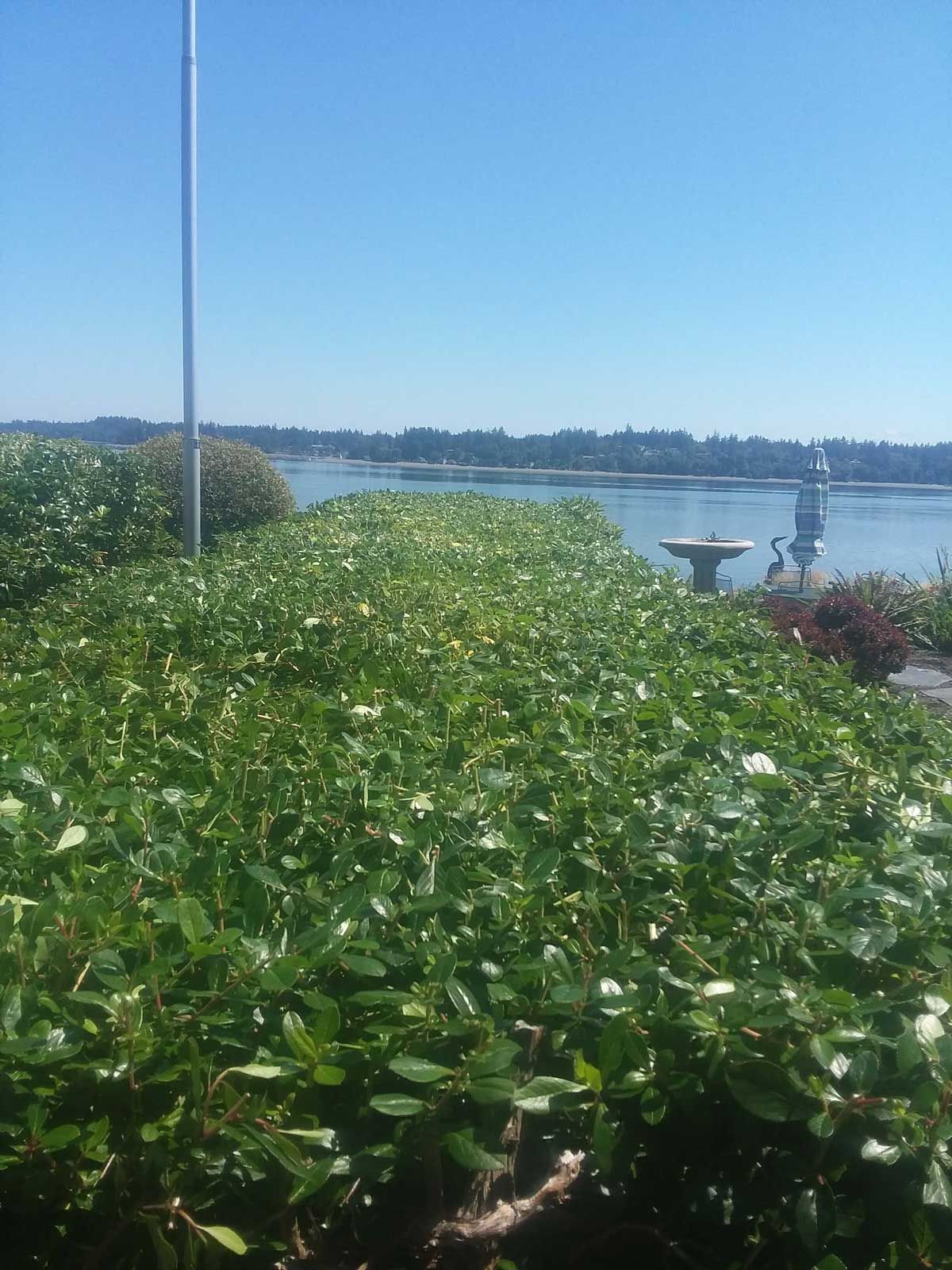 A view of a body of water with a bird bath in the foreground