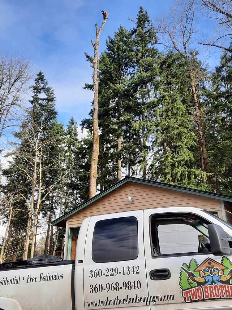 A white truck is parked in front of a house in the woods.