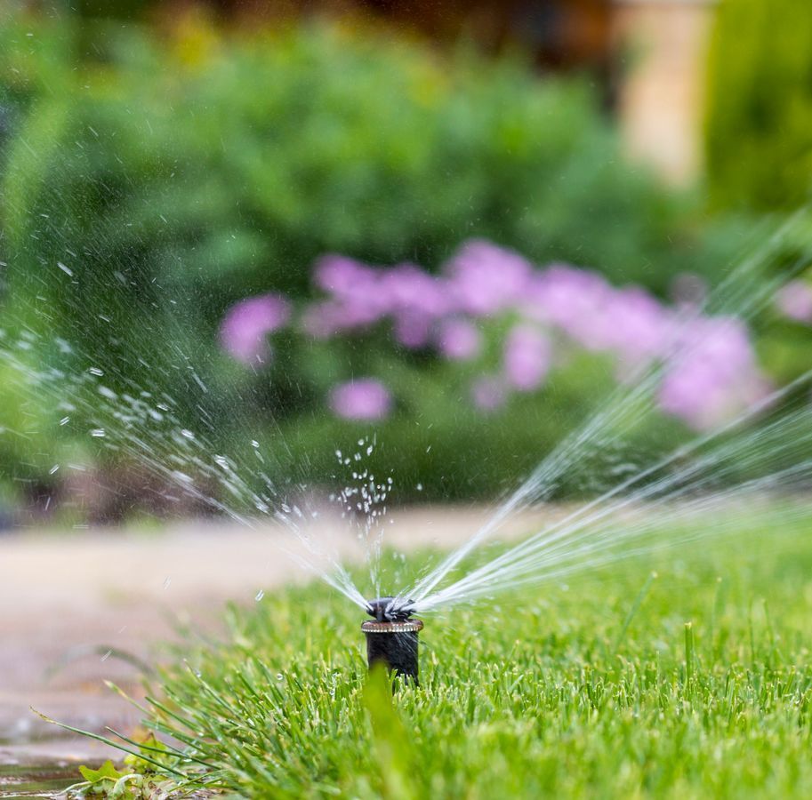 A sprinkler is spraying water on a lush green lawn.