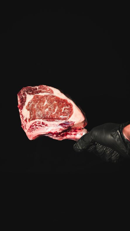 CARNES DE RÍO SONORA