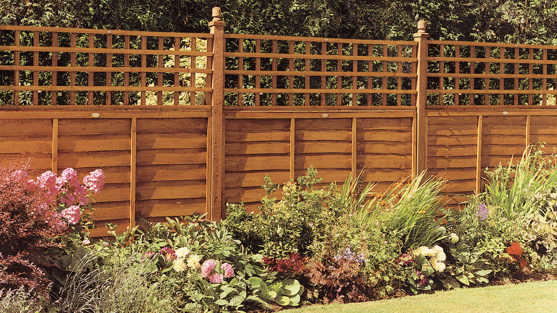 Trellis Fencing | Fence Installation Dundee