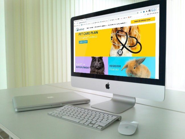 Archway Veterinary Centre | Website Design & Build Chepstow